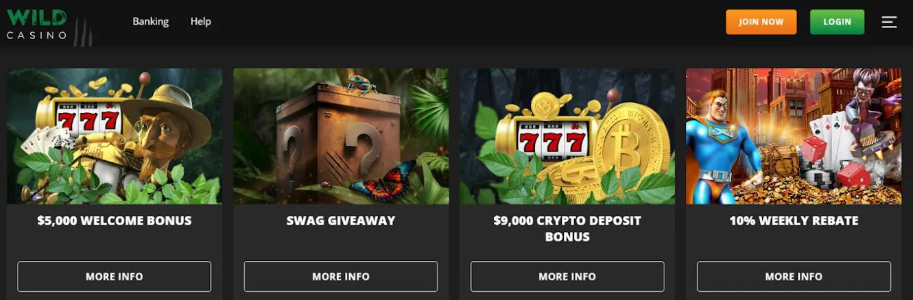 Promociones en Wild Casino promociones en casinos wildcasino